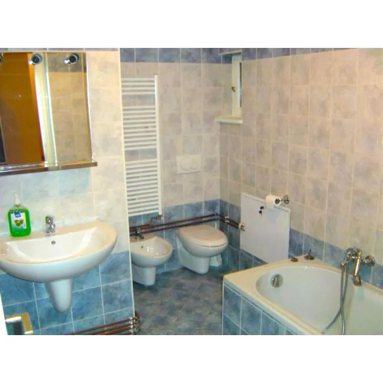 Sepcari Old City Apartment Бухарест